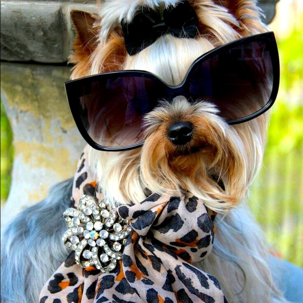 Present Yourself Fabulous